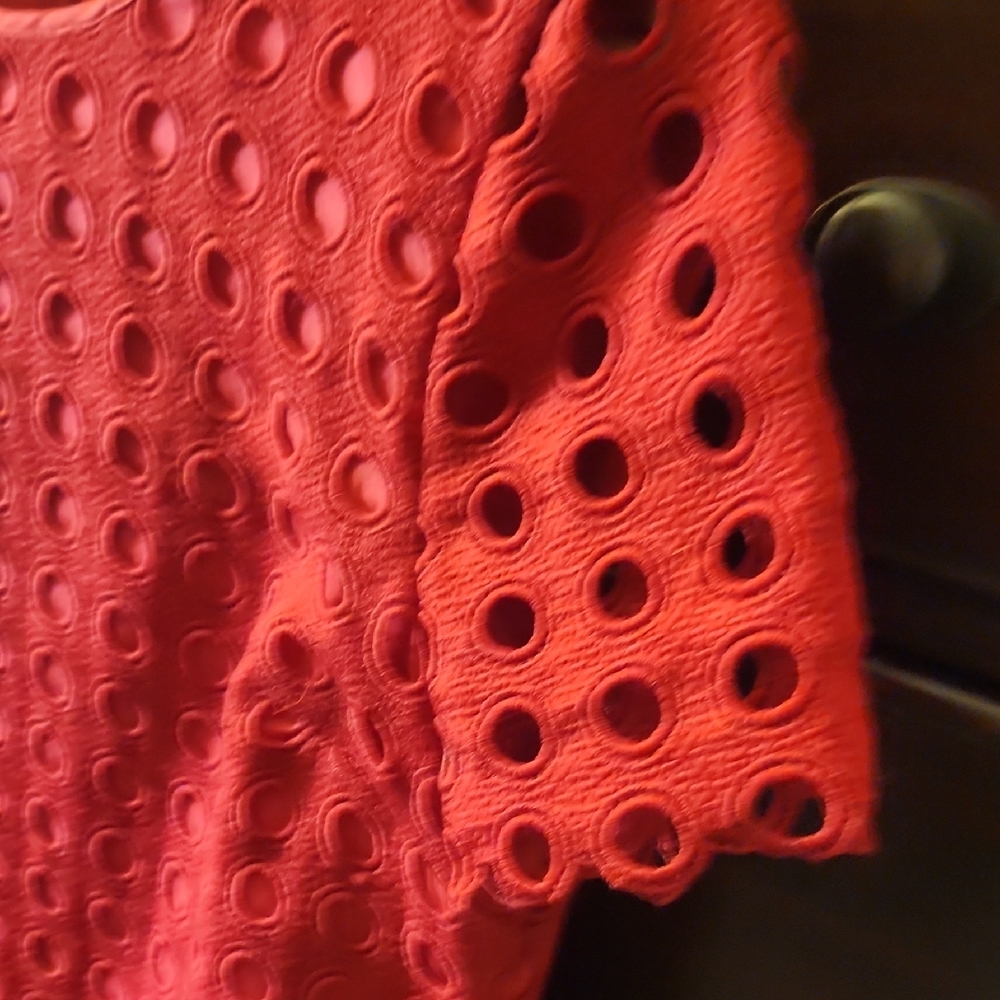 Talbots Red Eyelet Circle Lace Short Sleeve Shift Dress EUC - Picture 4 of 9
